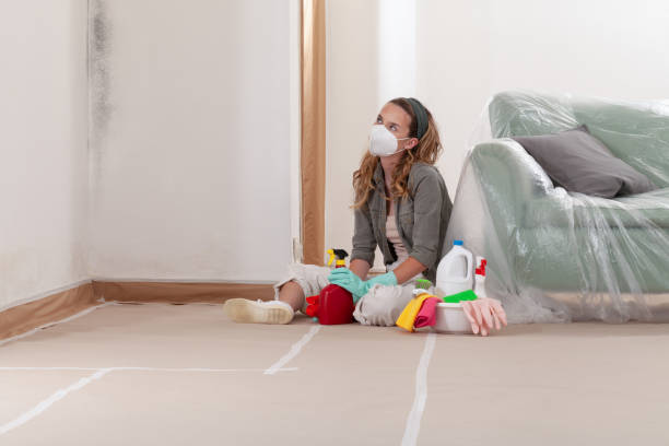 Reliable Mold Testing contractor in Bridgman, MI by WQB Mold Removal